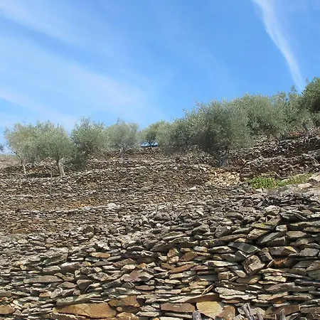 Seven Books House Carrazeda de Anciaes