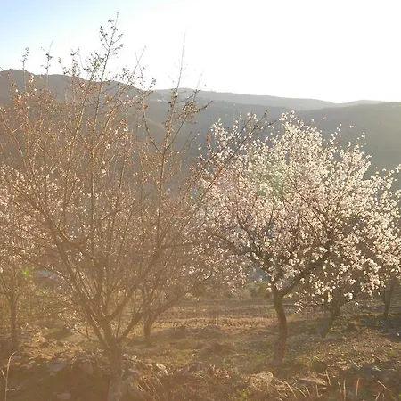 Casa di campagna Seven Books House *