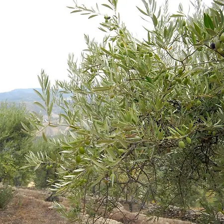 Casa di campagna Seven Books House Carrazeda de Anciães