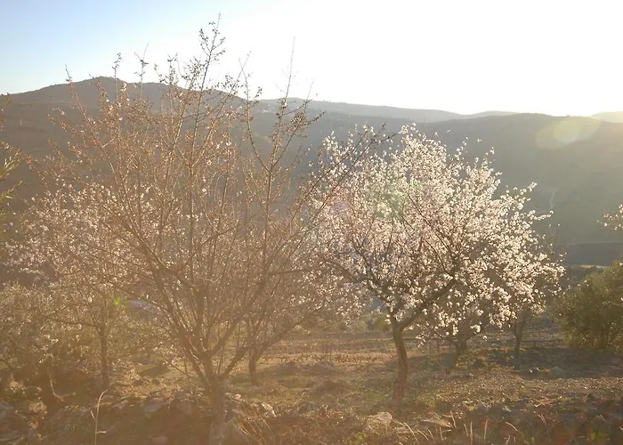 Gospodarstwo wiejskie Seven Books House *