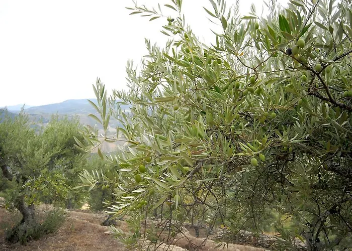 Landhaus Seven Books House Carrazeda de Ansiães